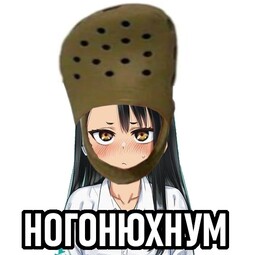 8194
