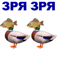 12381