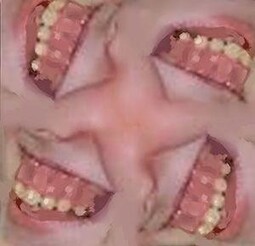12454
