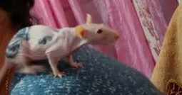 12569