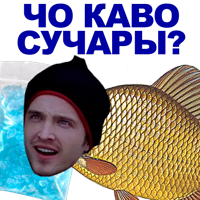 12591