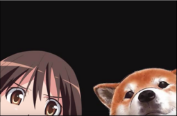 12627