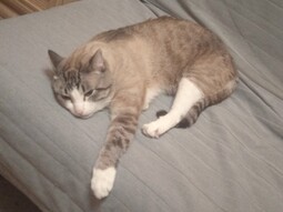 13187