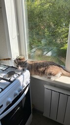 13191