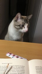 13195