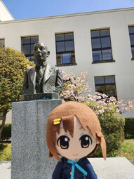 13504