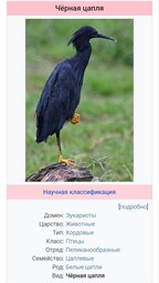 13800