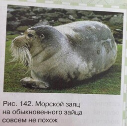 13815