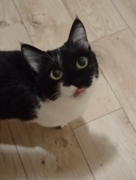 15978