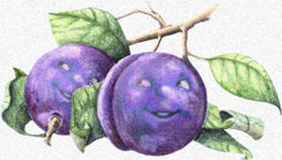 16483