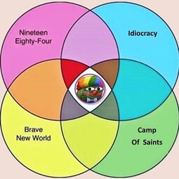 16520