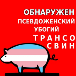16629