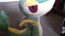 16953