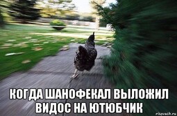 17044
