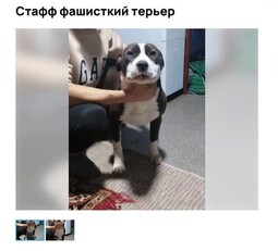 17056