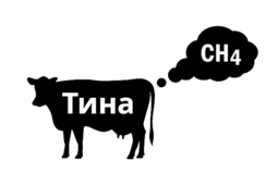 17341