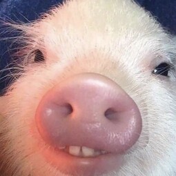17617