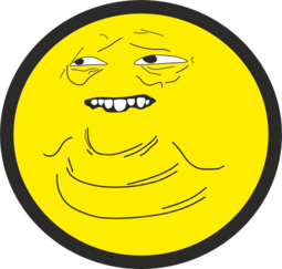 528