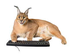 694